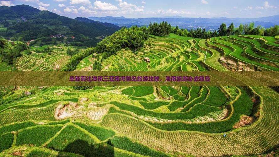 阜新前往三亚南湾猴岛哪里玩