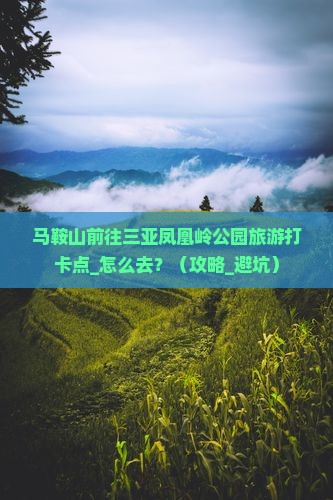 马鞍山前往三亚凤凰岭公园旅游打卡点