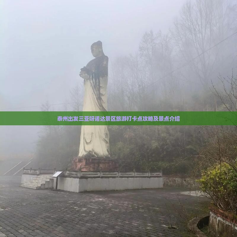 泰州出发三亚呀诺达景区旅游打卡点
