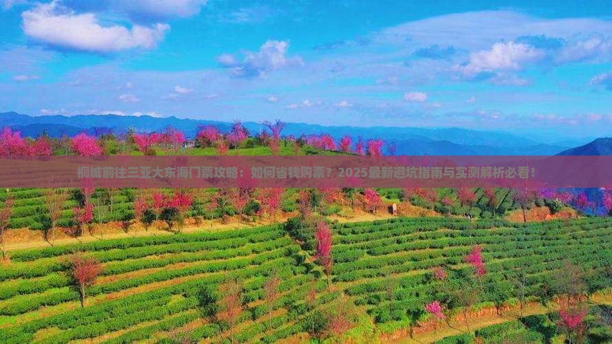 桐城前往三亚大东海门票
