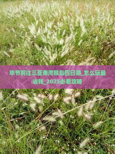 毕节前往三亚南湾猴岛四日游