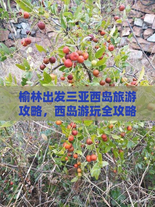 榆林出发三亚西岛哪里玩
