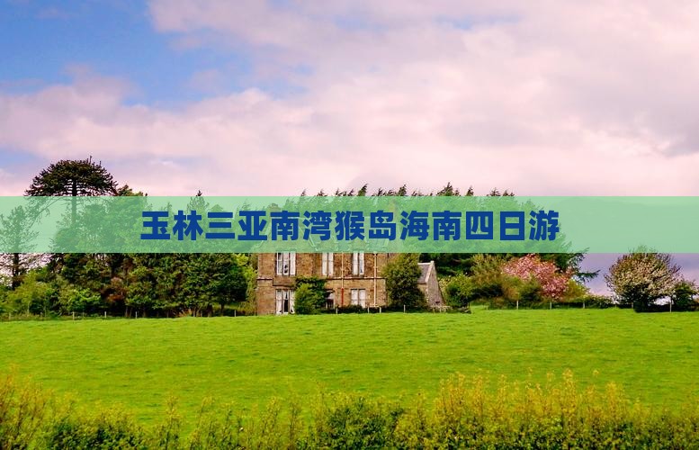 玉林前往三亚南湾猴岛四日游