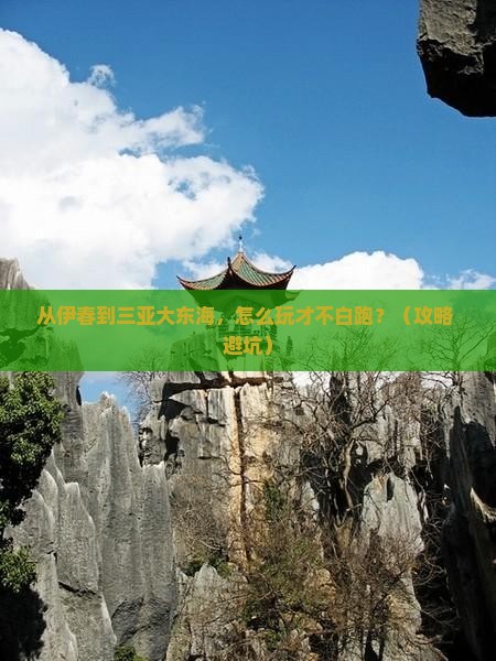 伊春去三亚大东海哪里玩