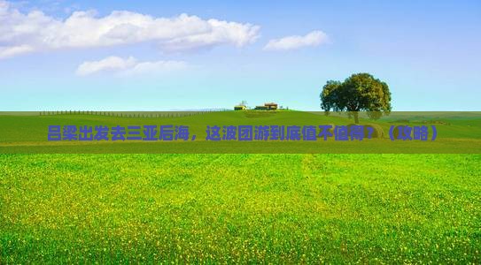 吕梁出发三亚后海团体旅游