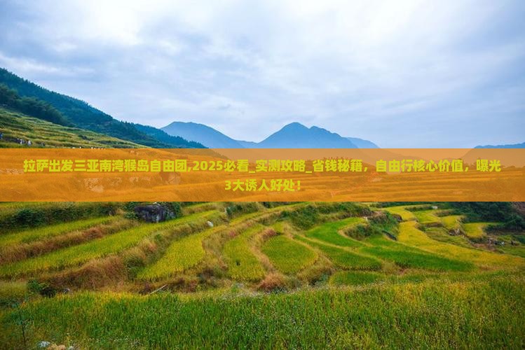 拉萨出发三亚南湾猴岛自由团