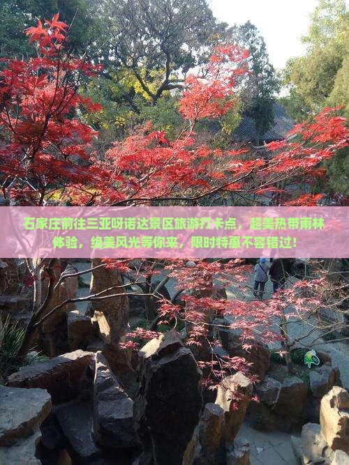 石家庄前往三亚呀诺达景区旅游打卡点