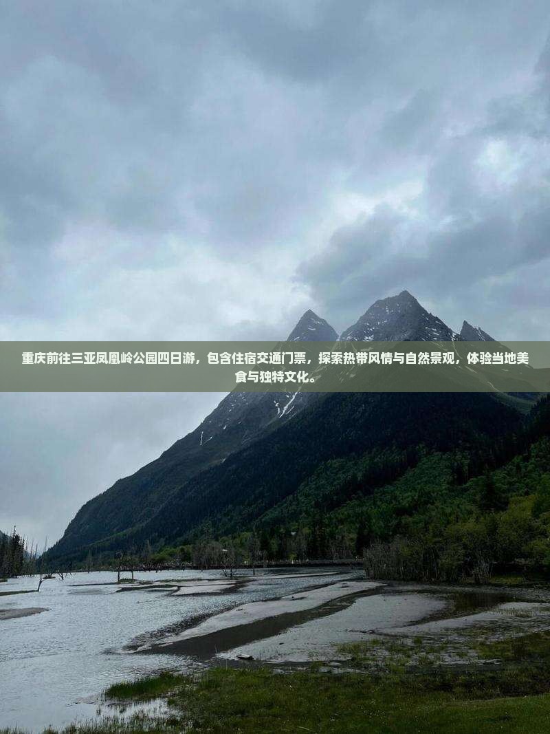 重庆前往三亚凤凰岭公园四日游