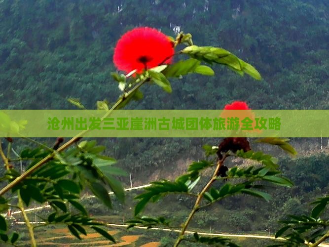 沧州出发三亚崖洲古城团体旅游
