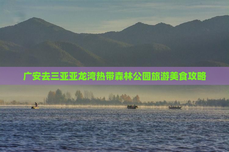 广安去三亚亚龙湾热带森林公园旅游小吃