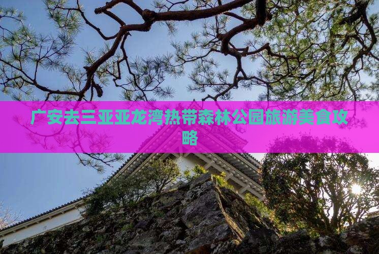 广安去三亚亚龙湾热带森林公园旅游小吃