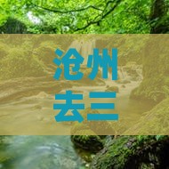 沧州去三亚南湾猴岛二日游