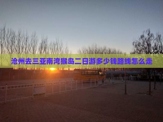 沧州去三亚南湾猴岛二日游
