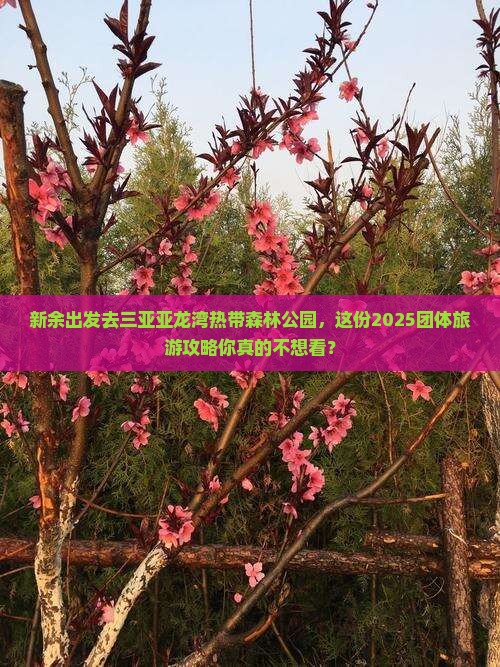 新余去三亚亚龙湾热带森林公园团体旅游