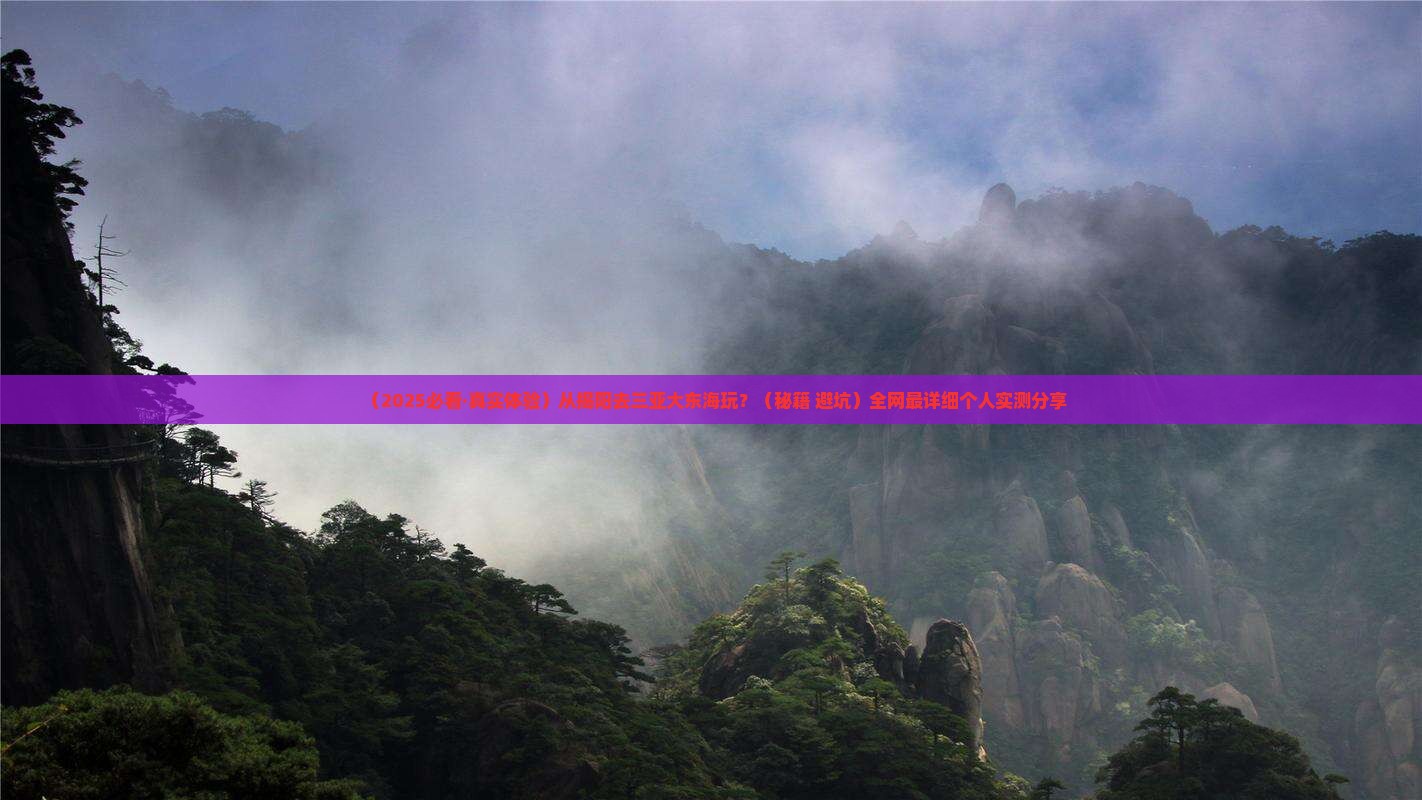 揭阳前往三亚大东海哪里玩
