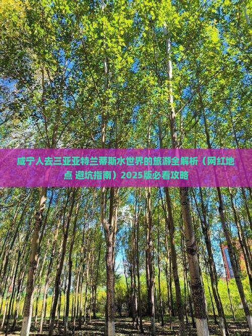 咸宁出发三亚亚特兰蒂斯水世界旅游网红地点