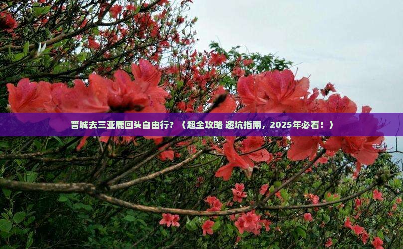 晋城前往三亚鹿回头自由团