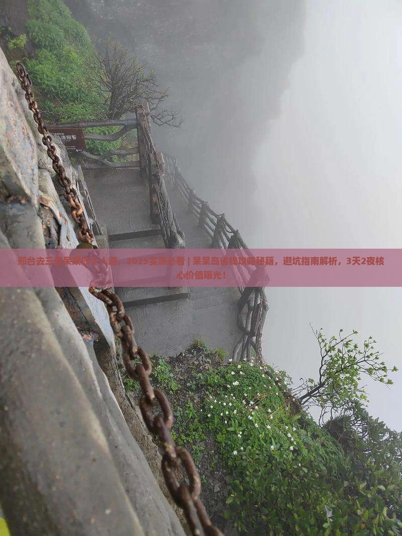 邢台去三亚呆呆岛个人游