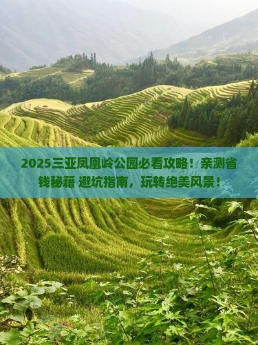 沧州出发三亚凤凰岭公园攻略