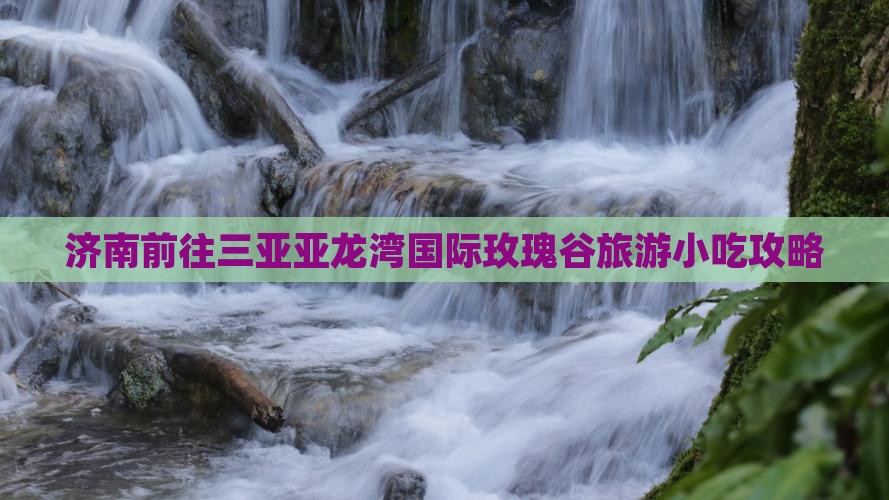 济南前往三亚亚龙湾国际玫瑰谷旅游小吃