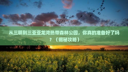 三明去三亚亚龙湾热带森林公园旅游打卡点