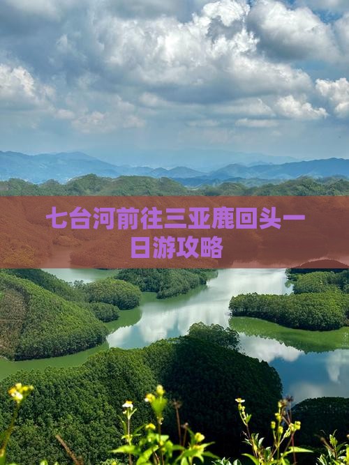 七台河前往三亚鹿回头一日游