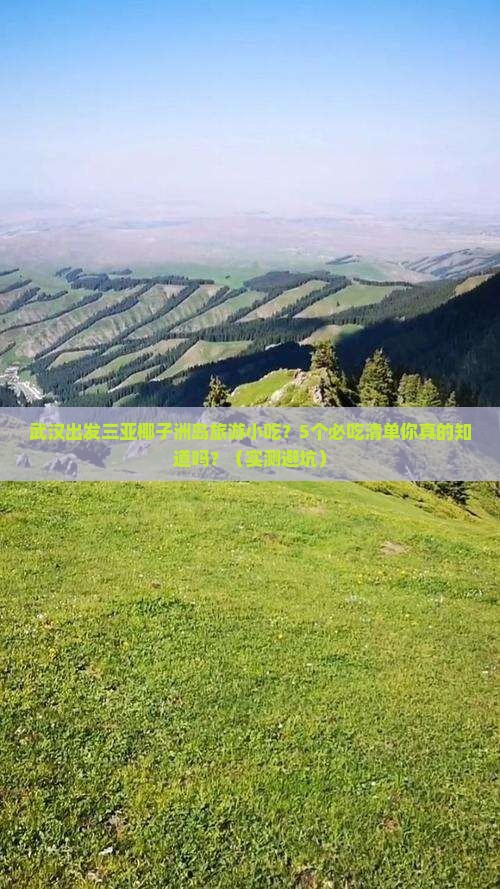 武汉出发三亚椰子洲岛旅游小吃