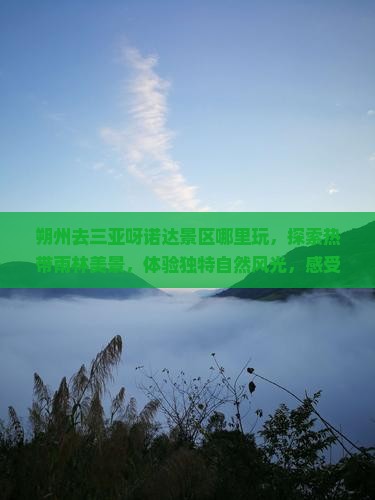 朔州去三亚呀诺达景区哪里玩