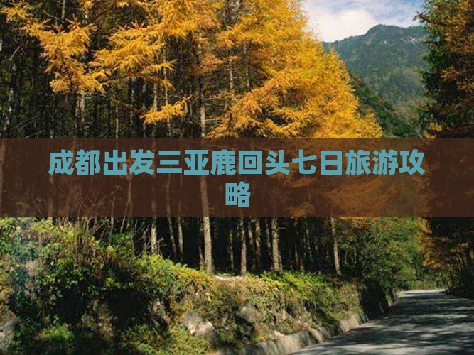 嘉峪关去三亚鹿回头七日游