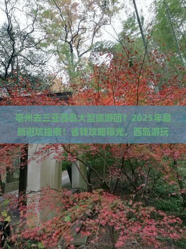 亳州去三亚西岛大型旅游团