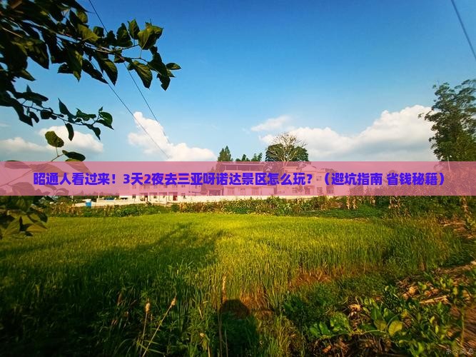 昭通去三亚呀诺达景区大型旅游团