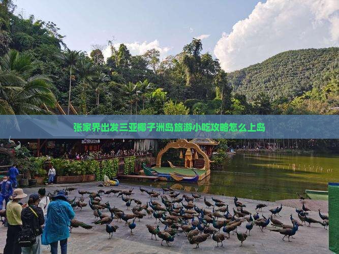 张家界出发三亚椰子洲岛旅游小吃