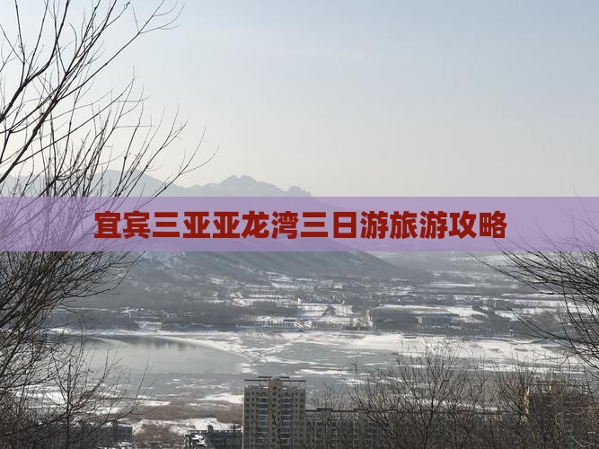 宜宾去三亚亚龙湾热带森林公园三日游