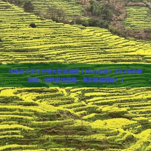 汉中去三亚千古情大型旅游团