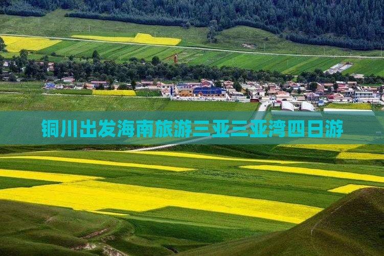 铜川去三亚三亚湾四日游