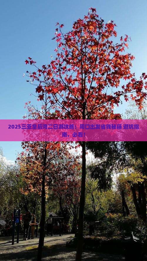 周口出发三亚皇后湾二日游