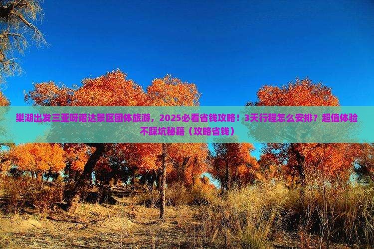 巢湖出发三亚呀诺达景区团体旅游