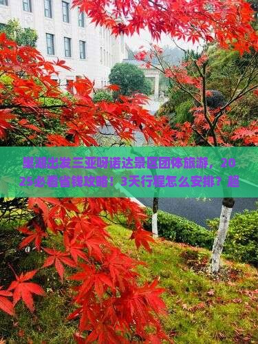 巢湖出发三亚呀诺达景区团体旅游