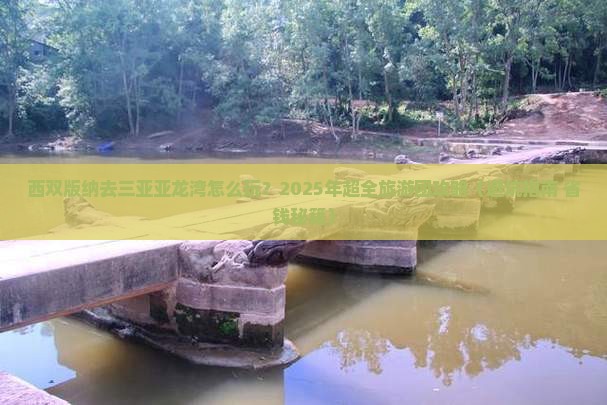 西双版纳去三亚亚龙湾大型旅游团