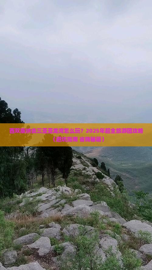 西双版纳去三亚亚龙湾大型旅游团