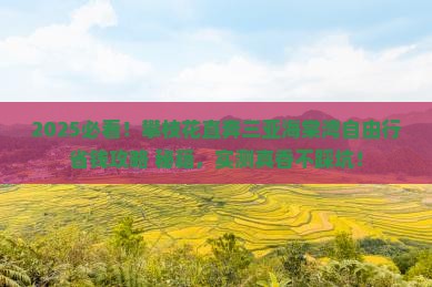 攀枝花去三亚海棠湾自由行