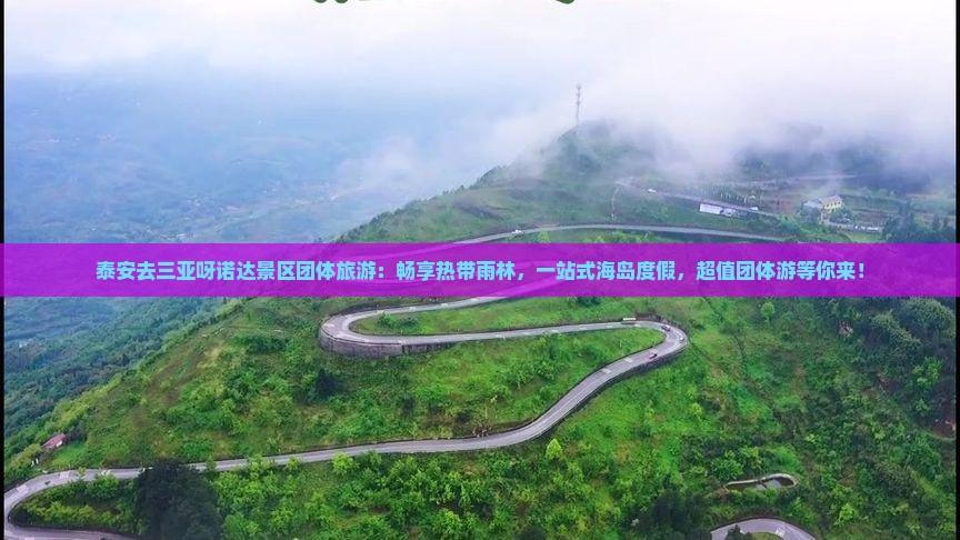 泰安去三亚呀诺达景区团体旅游