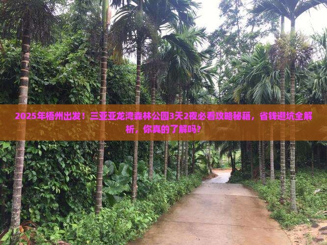 梧州前往三亚亚龙湾热带森林公园旅游打卡点