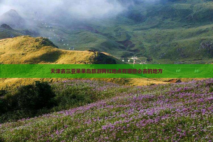 天津去三亚呆呆岛旅游网红地点