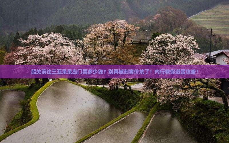 韶关前往三亚呆呆岛门票