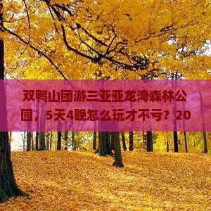 双鸭山去三亚亚龙湾热带森林公园团体旅游