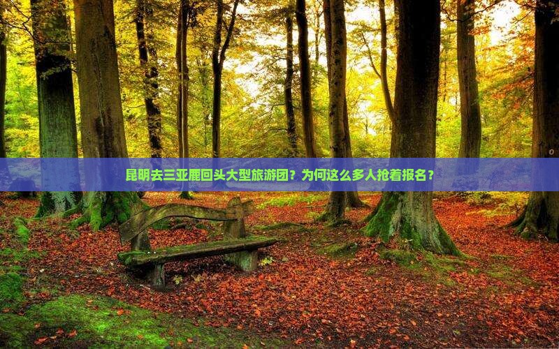 昆明去三亚鹿回头大型旅游团