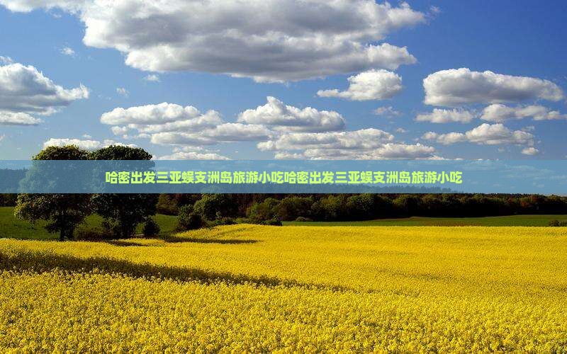 哈密出发三亚蜈支洲岛旅游小吃