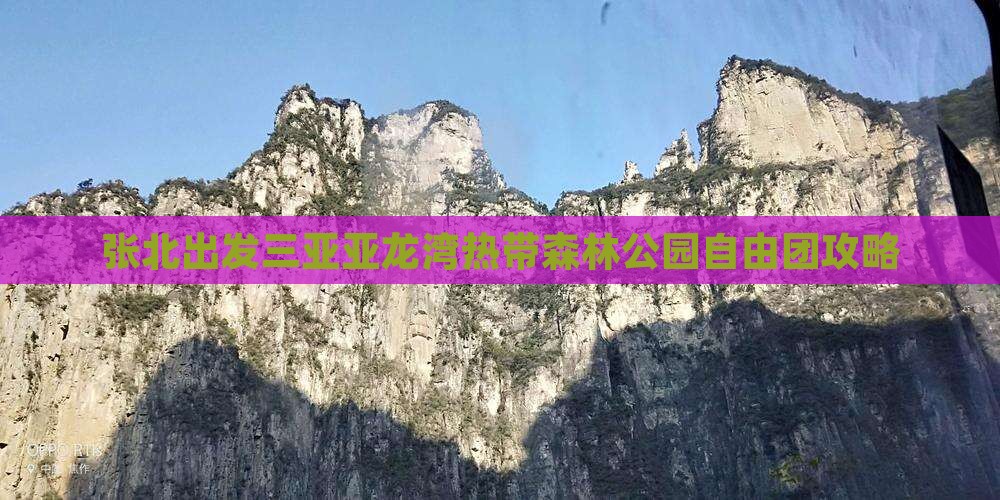 张北出发三亚亚龙湾热带森林公园自由团