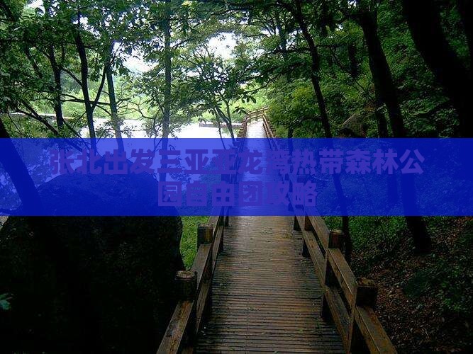 张北出发三亚亚龙湾热带森林公园自由团